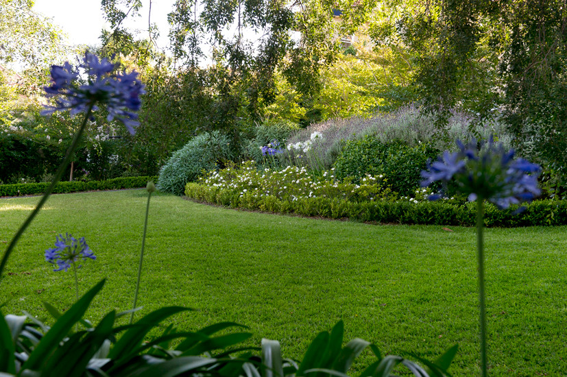 Immagine di un grande giardino formale classico esposto a mezz'ombra davanti casa in primavera