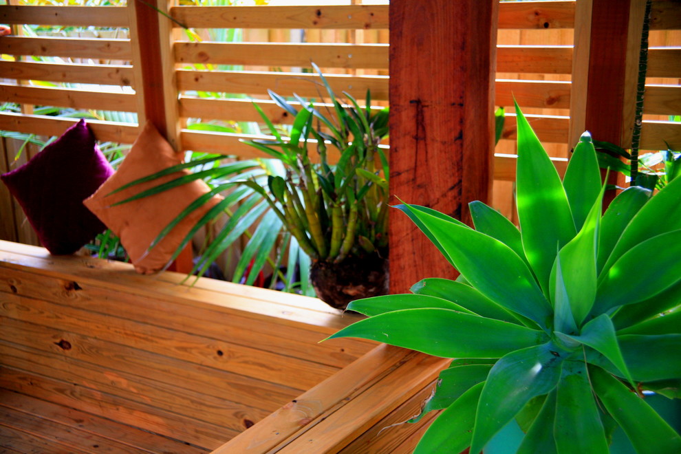 Foto di un giardino tropicale di medie dimensioni e dietro casa con un ingresso o sentiero