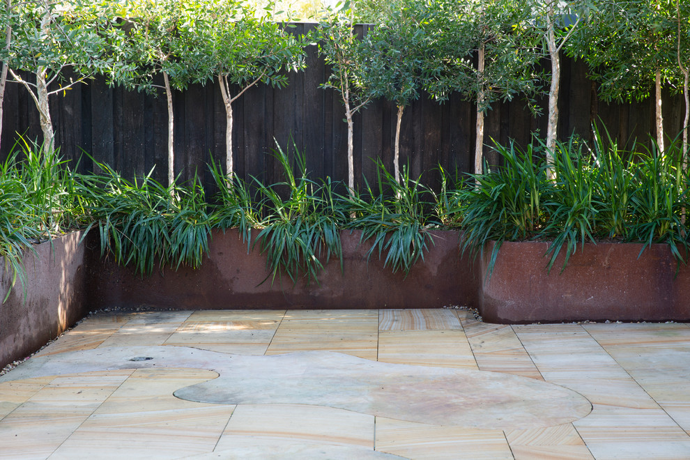 Inspiration for a contemporary landscaping in Sydney.