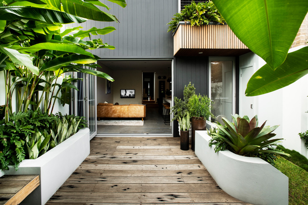 Foto di un piccolo giardino tropicale esposto in pieno sole dietro casa con un muro di contenimento e pedane