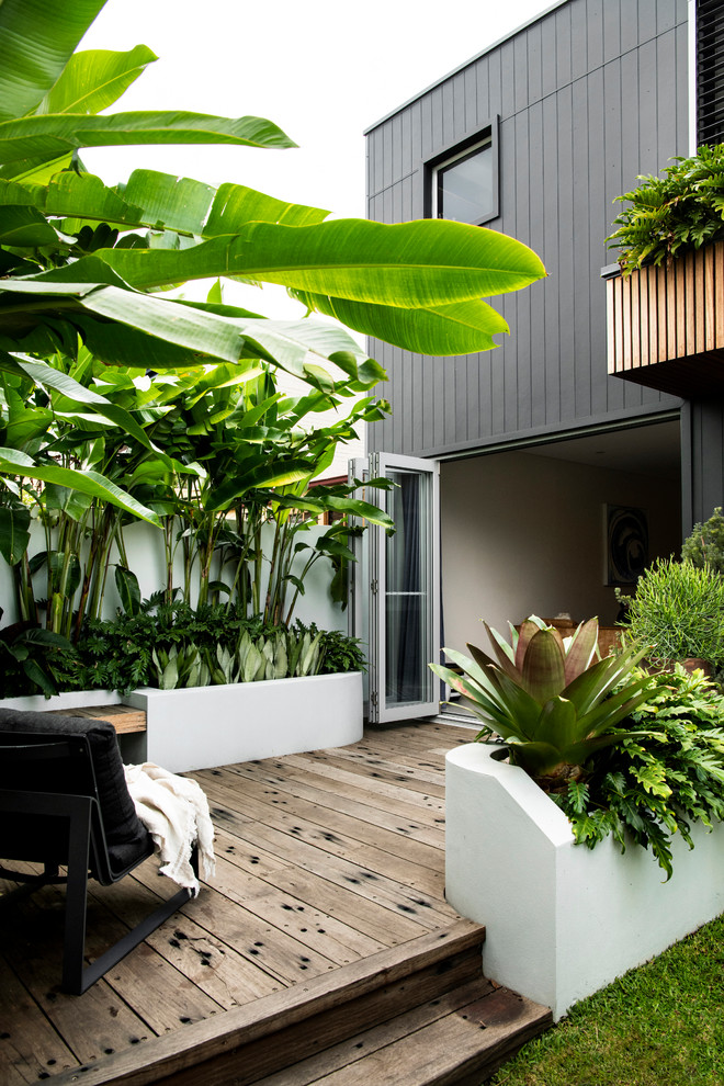 Kleine Gartenmauer hinter dem Haus mit direkter Sonneneinstrahlung und Dielen in Sydney