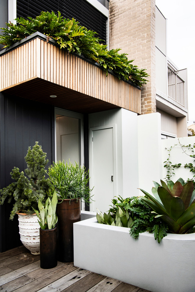 Стильный дизайн: маленький солнечный участок и сад на заднем дворе в морском стиле с подпорной стенкой, хорошей освещенностью и настилом для на участке и в саду - последний тренд