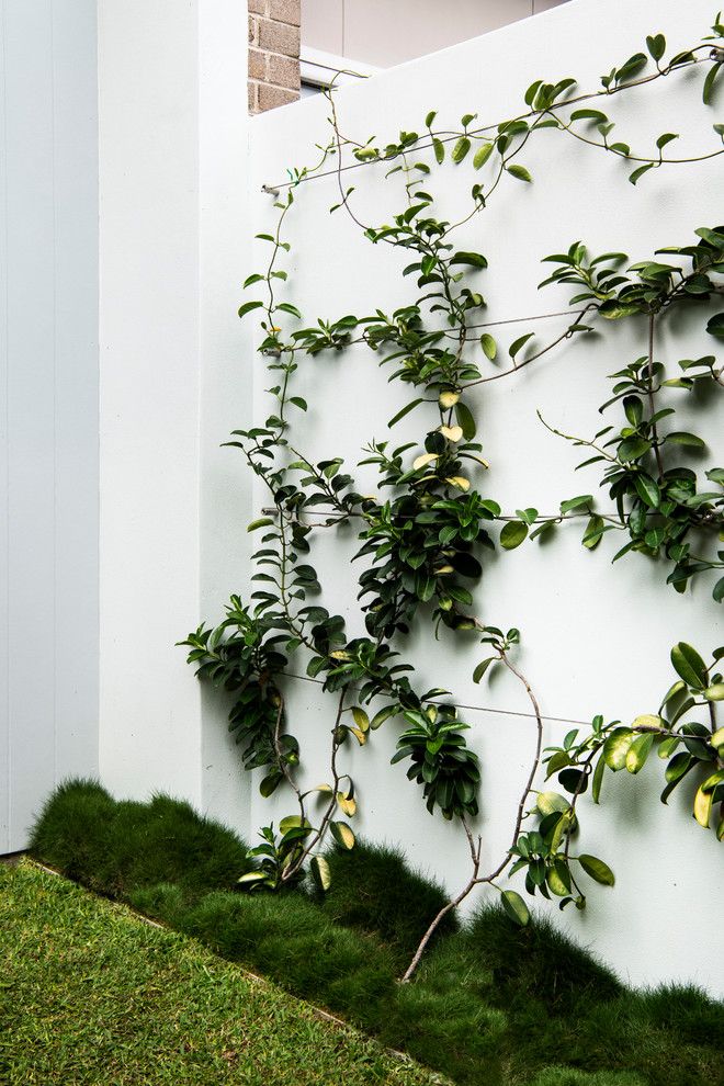 Esempio di un piccolo giardino tropicale esposto in pieno sole dietro casa con un muro di contenimento e pedane