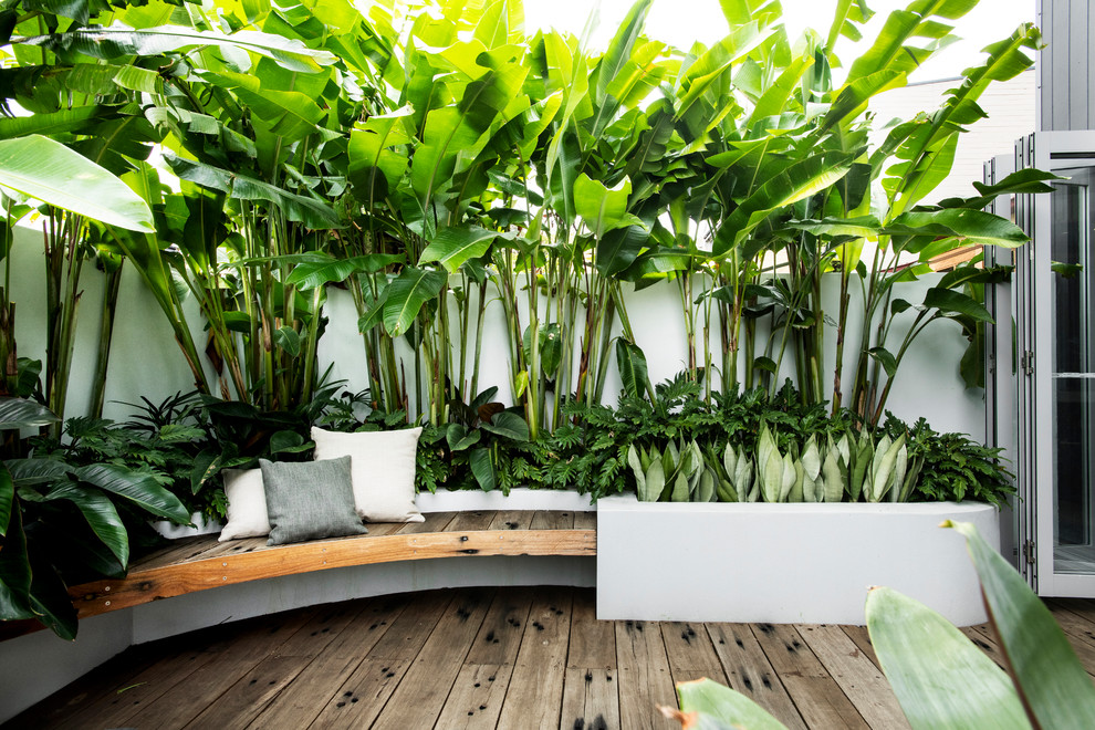 Foto di un piccolo giardino tropicale esposto in pieno sole dietro casa con un muro di contenimento e pedane