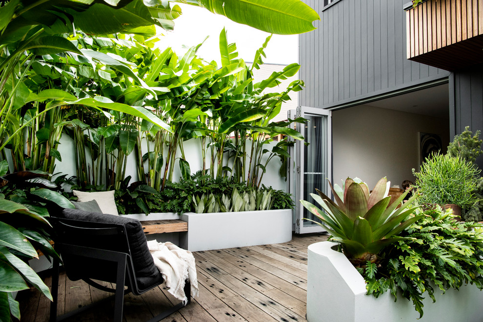Inspiration för en liten tropisk bakgård i full sol, med en stödmur och trädäck