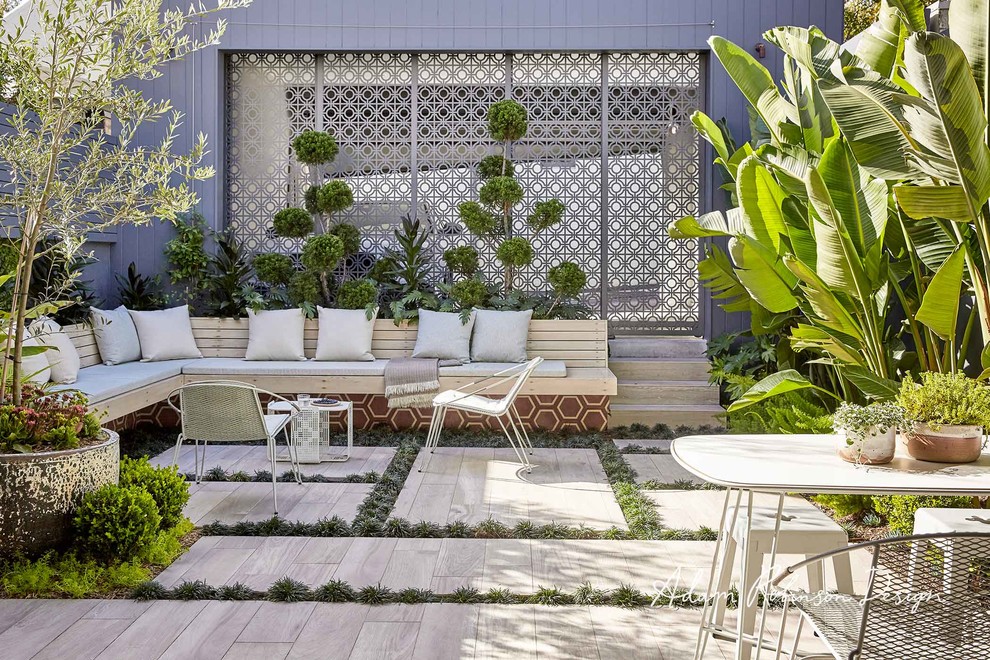 Design ideas for a small contemporary courtyard landscaping in Sydney.