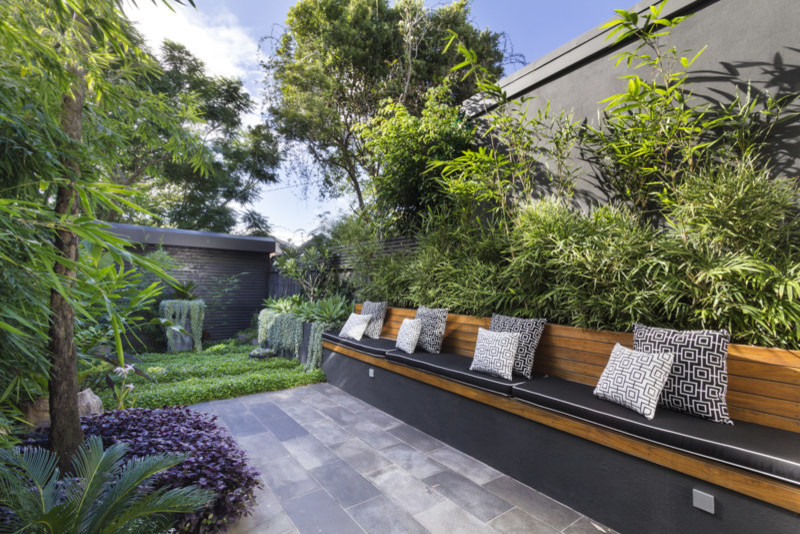 Geometrischer, Mittelgroßer Moderner Garten hinter dem Haus mit Betonboden in Sydney