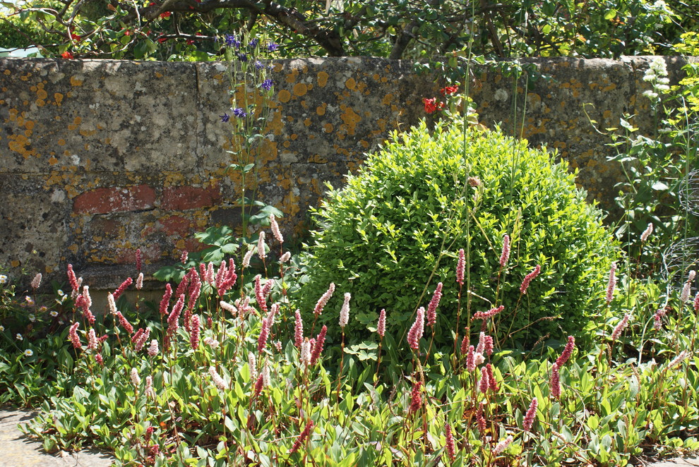 Diseño de jardín clásico pequeño en verano en patio delantero con jardín francés, exposición total al sol y adoquines de piedra natural