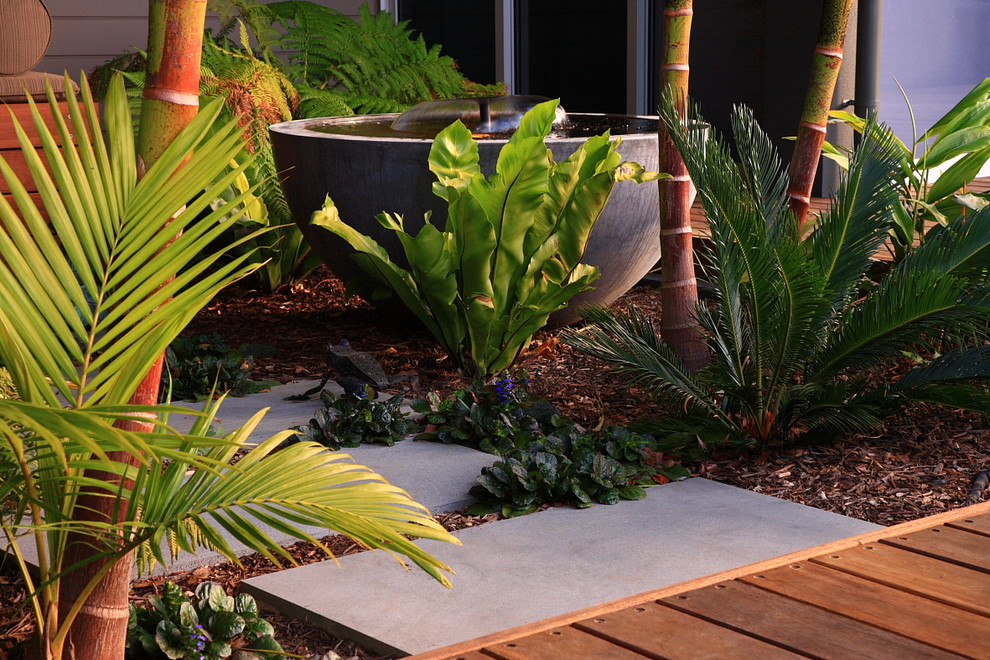 Ispirazione per un grande giardino tropicale esposto in pieno sole dietro casa con un muro di contenimento e pavimentazioni in pietra naturale