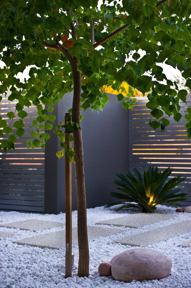 Пример оригинального дизайна: маленький солнечный участок и сад на переднем дворе в современном стиле с хорошей освещенностью и покрытием из гравия для на участке и в саду