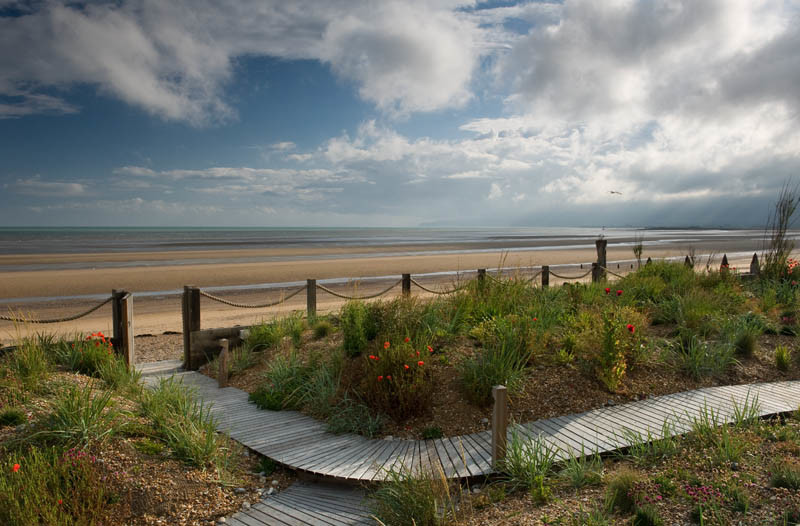 This is an example of a coastal landscaping in Sussex.