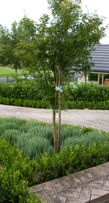 Ispirazione per un piccolo giardino formale moderno esposto a mezz'ombra davanti casa in autunno con un ingresso o sentiero e pavimentazioni in mattoni