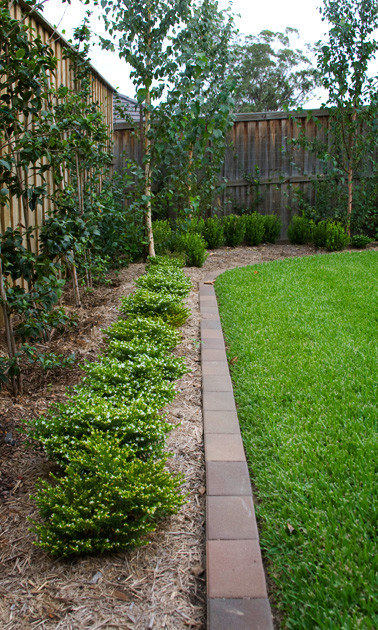 Idee per un piccolo giardino formale minimalista esposto a mezz'ombra davanti casa in autunno con un ingresso o sentiero e pavimentazioni in mattoni