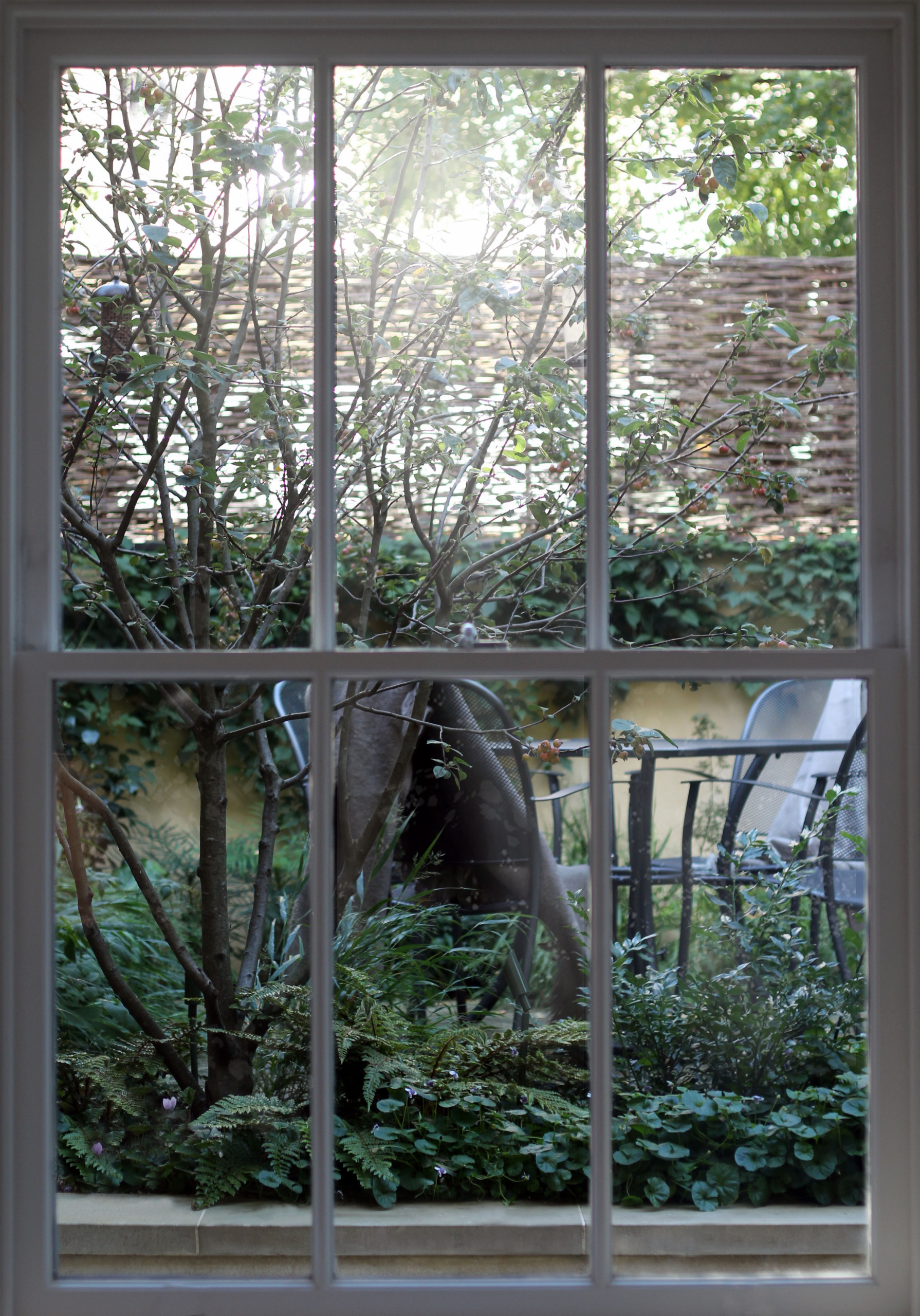 springhetti custom outdoor living on 75 Beautiful Gray Privacy Landscaping Pictures Ideas May 2021 Houzz