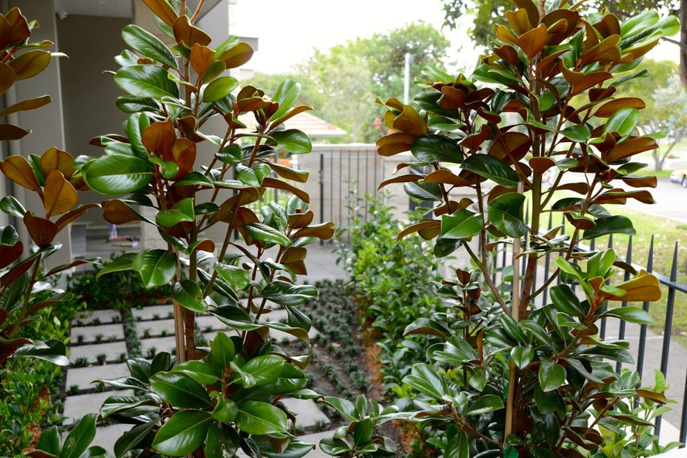 Imagen de jardín moderno con exposición total al sol y adoquines de hormigón