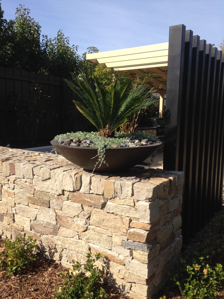 Cette photo montre un jardin arrière tendance de taille moyenne avec un mur de soutènement, une exposition ensoleillée et des pavés en pierre naturelle.