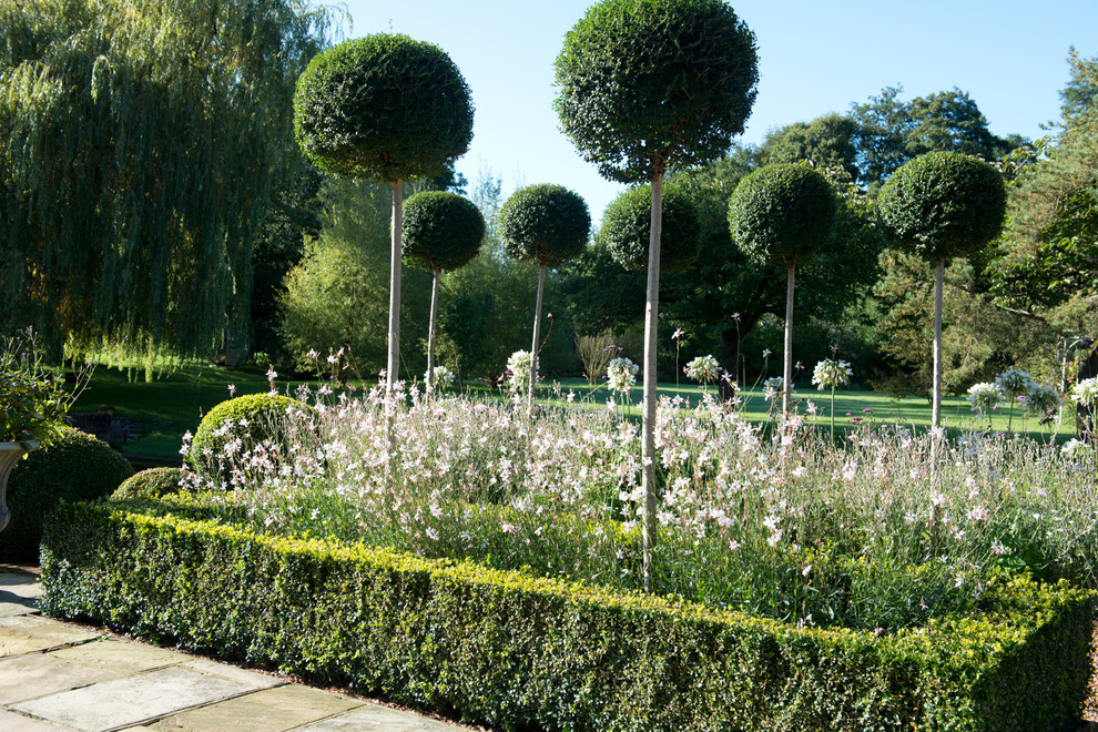 バークシャーにある巨大な、夏のコンテンポラリースタイルのおしゃれな庭 (庭への小道、日向、砂利舗装) の写真
