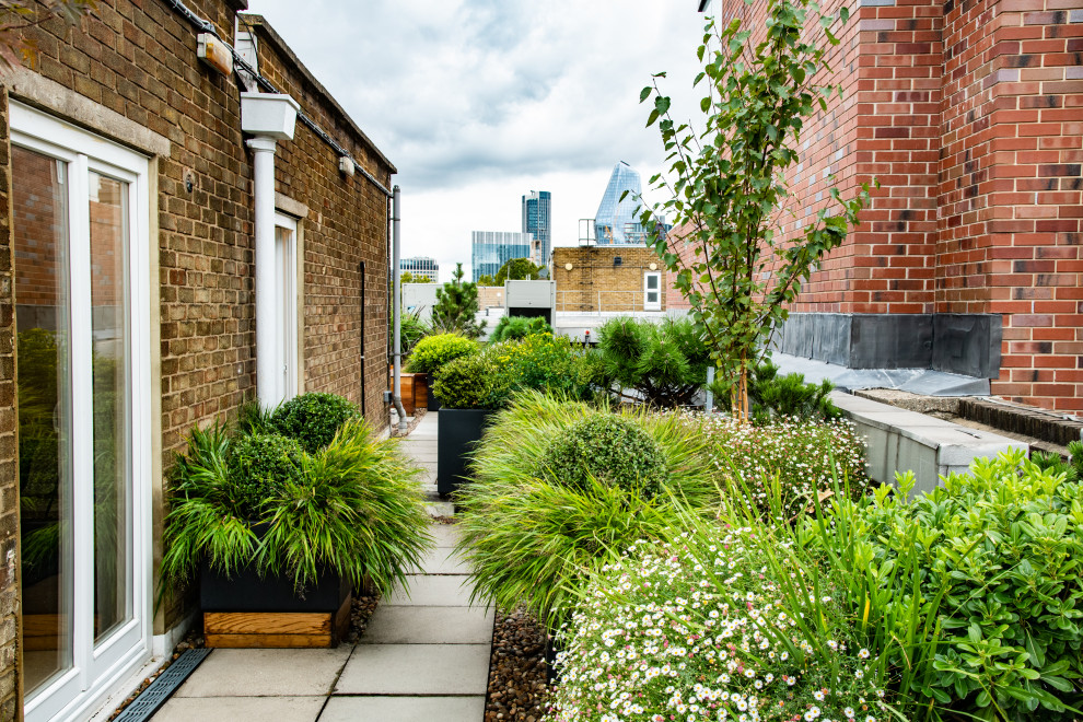 Immagine di un piccolo giardino minimal esposto in pieno sole sul tetto in estate con pavimentazioni in cemento