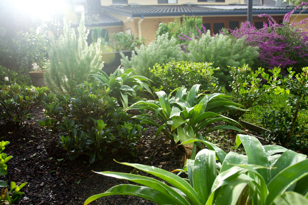 Esempio di un orto in giardino mediterraneo esposto in pieno sole dietro casa in primavera con pavimentazioni in pietra naturale