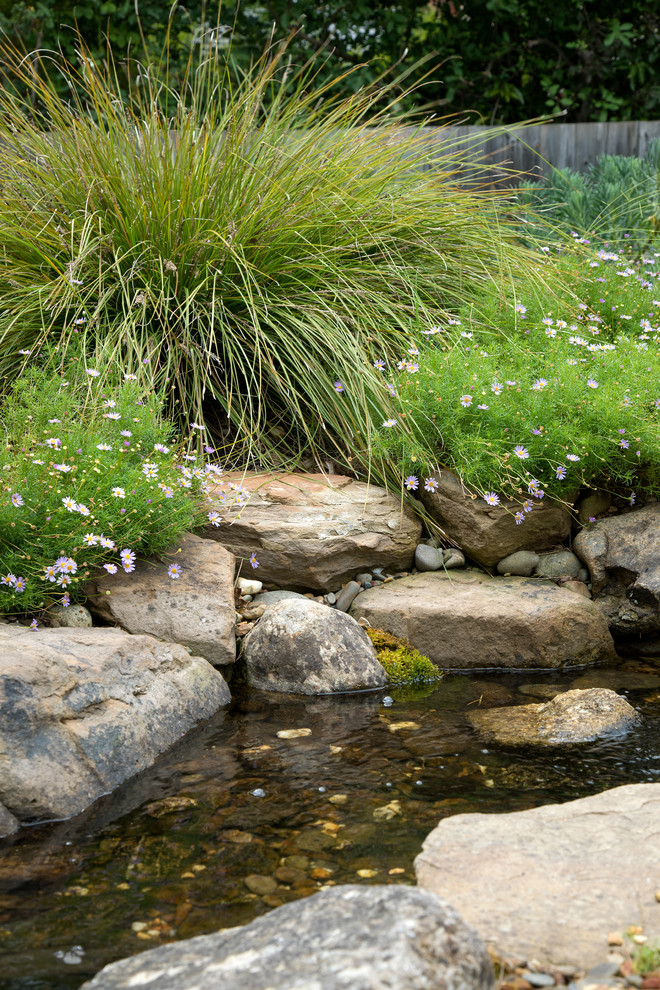 Idée de décoration pour un jardin avant bohème de taille moyenne avec un bassin et une exposition ensoleillée.