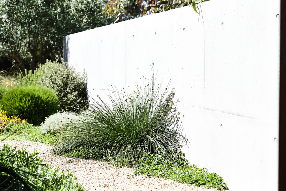 This is an example of a medium sized contemporary garden in Other.
