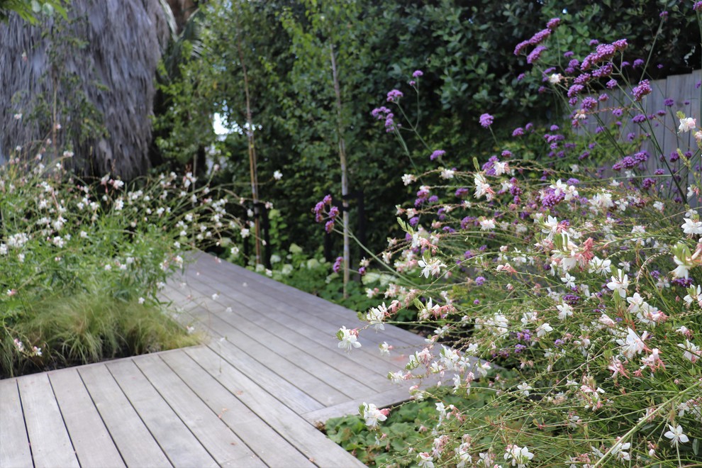 Inspiration for a small contemporary partial sun backyard landscaping in Auckland with decking for summer.