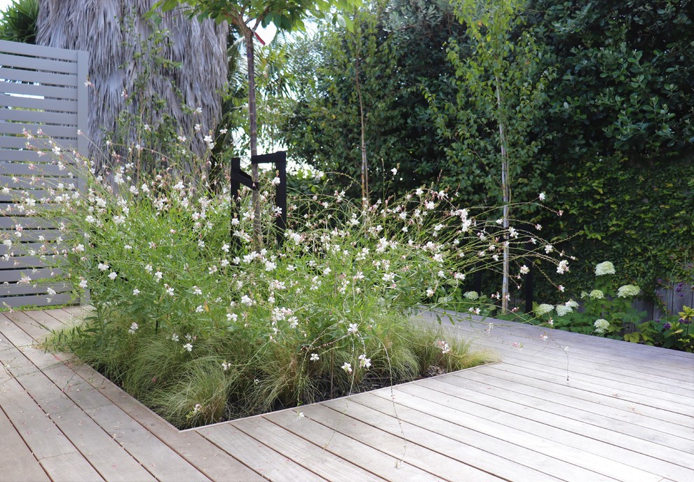 Inspiration pour un petit jardin arrière design l'été avec une exposition partiellement ombragée et une terrasse en bois.