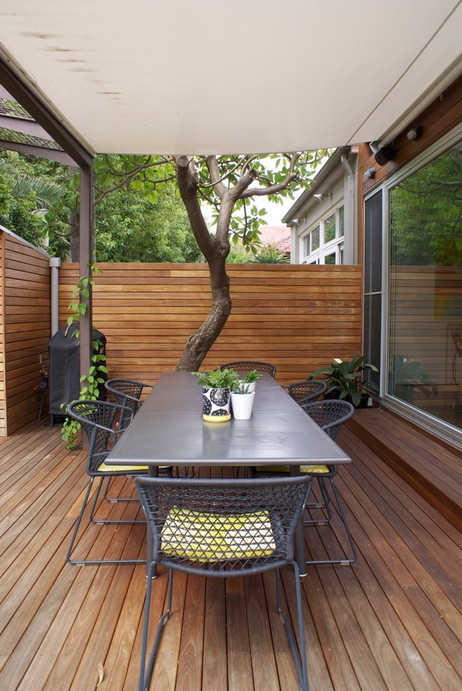 Kleiner Moderner Garten im Sommer, hinter dem Haus mit Sportplatz, direkter Sonneneinstrahlung und Betonboden in Sydney