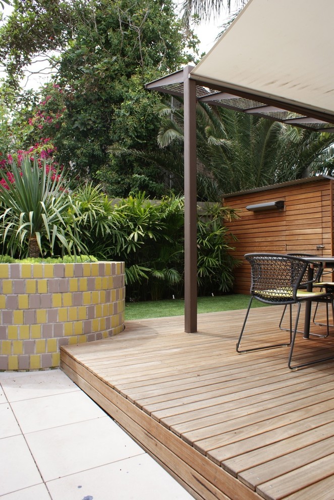Kleiner Moderner Garten im Sommer, hinter dem Haus mit Kübelpflanzen, direkter Sonneneinstrahlung und Betonboden in Sydney