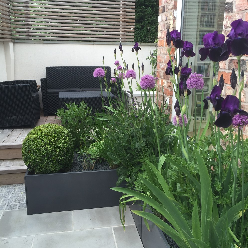 Idee per un piccolo giardino formale design in cortile con un giardino in vaso e pavimentazioni in pietra naturale