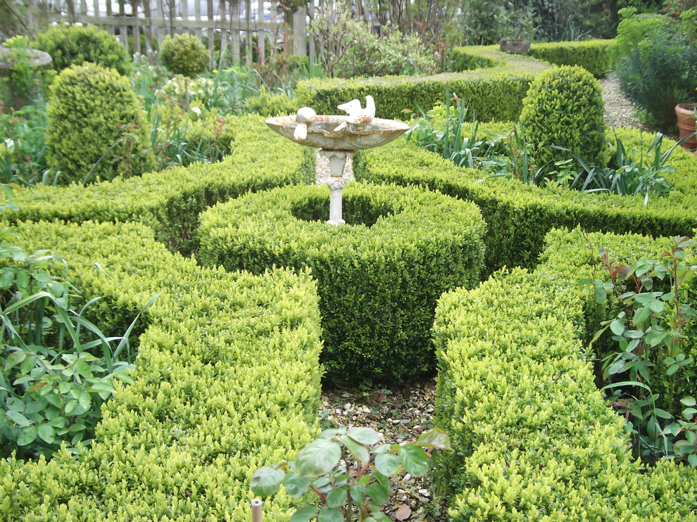 Ejemplo de jardín clásico en patio trasero con fuente