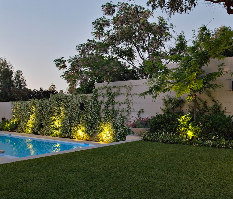 Photo of a contemporary back garden in Perth with a living wall.