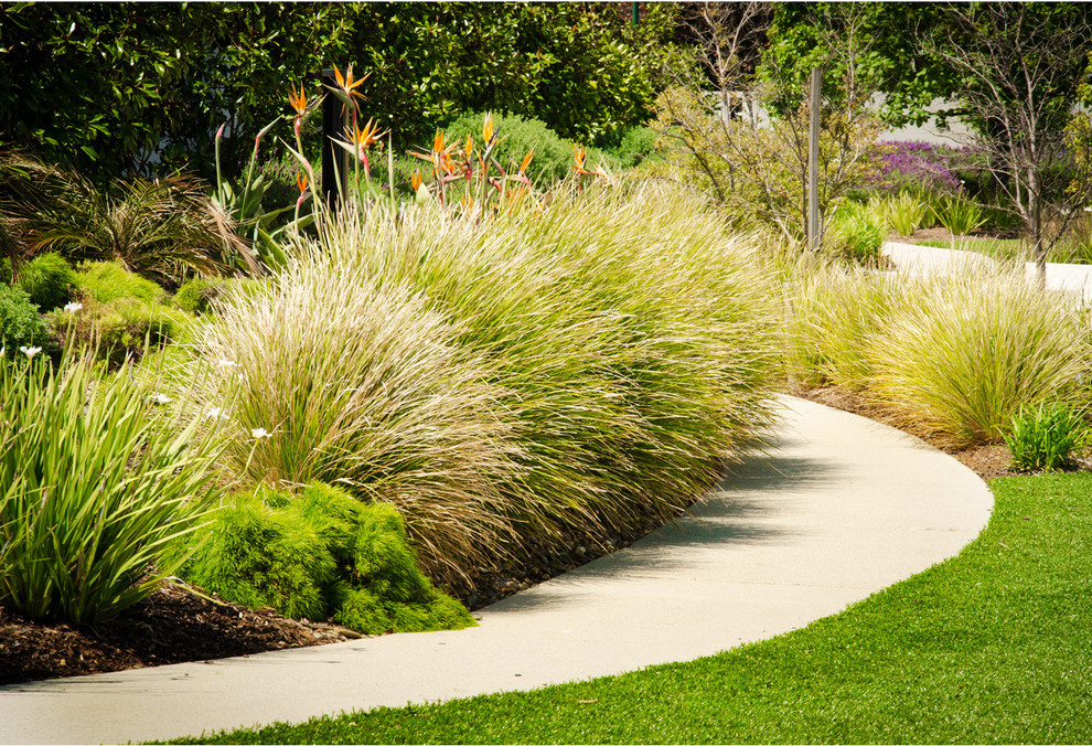 Inspiration for a contemporary landscaping in Melbourne.
