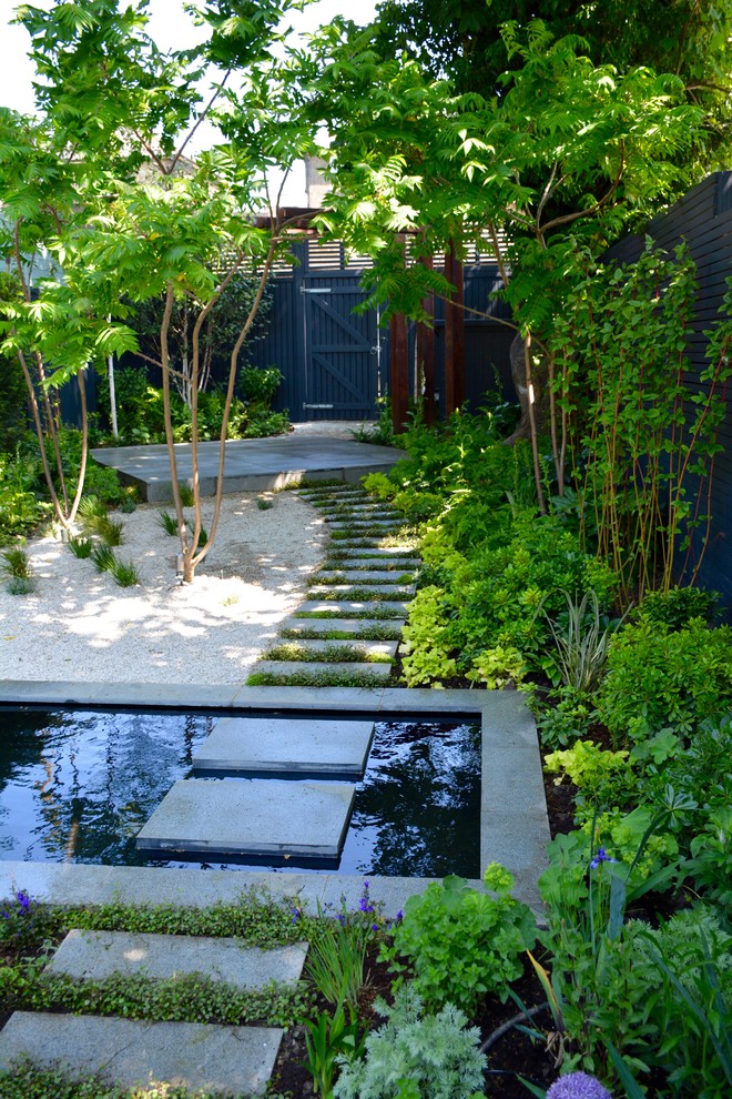 Modelo de jardín actual de tamaño medio en verano en patio trasero con estanque y exposición parcial al sol