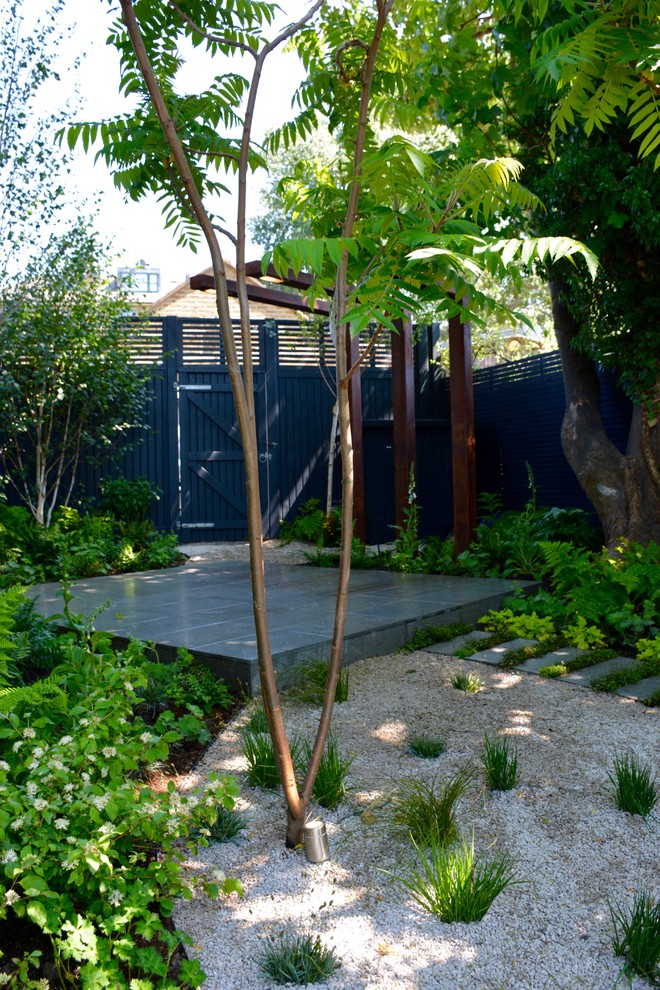 This is an example of a medium sized contemporary back partial sun garden for summer in London with a pond.