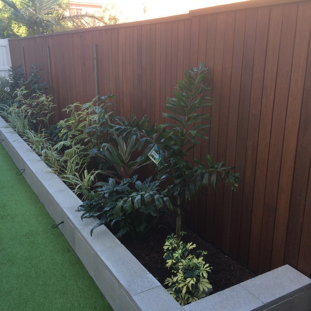 Kleiner Moderner Garten hinter dem Haus mit Kübelpflanzen in Brisbane