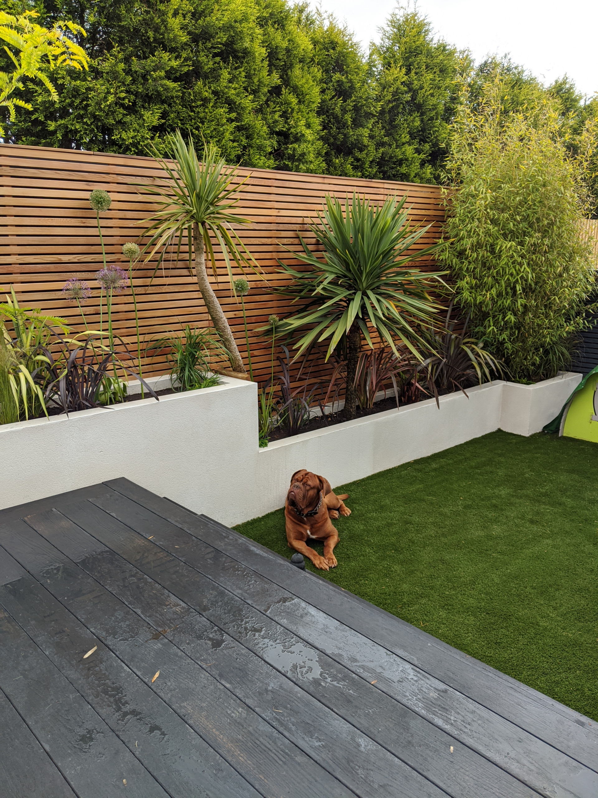 Burnley Cedar Fencing Project Contemporary Landscape Manchester By Slatted Screen Fencing Houzz