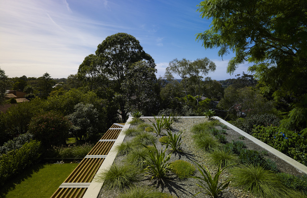 Idee per un giardino minimalista esposto in pieno sole di medie dimensioni e sul tetto con pacciame