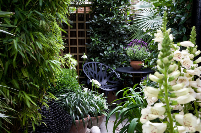 CENTRAL LONDON FLAT - Contemporary - Garden - London - by OSADA DESIGN ...