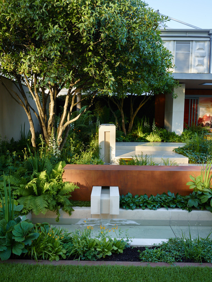 Diseño de jardín contemporáneo de tamaño medio en patio trasero con fuente