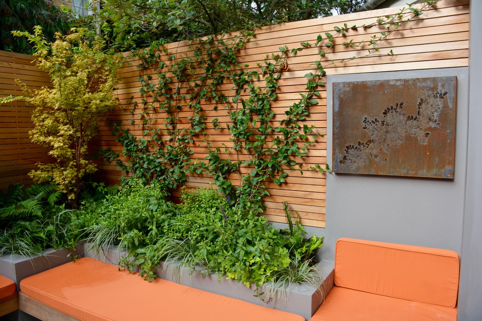 Пример оригинального дизайна: маленький солнечный участок и сад на заднем дворе в современном стиле с хорошей освещенностью для на участке и в саду