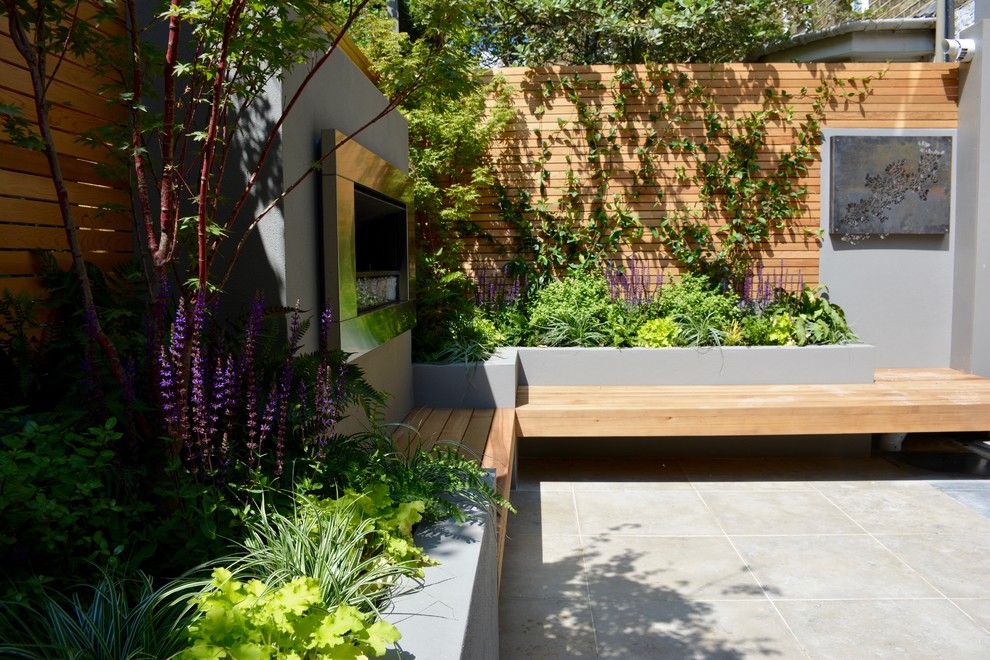 Photo of a small contemporary back full sun garden in London.