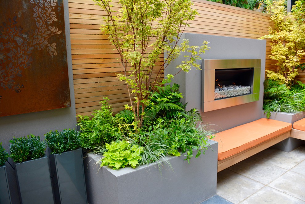 Inspiration for a small contemporary back full sun garden in London.