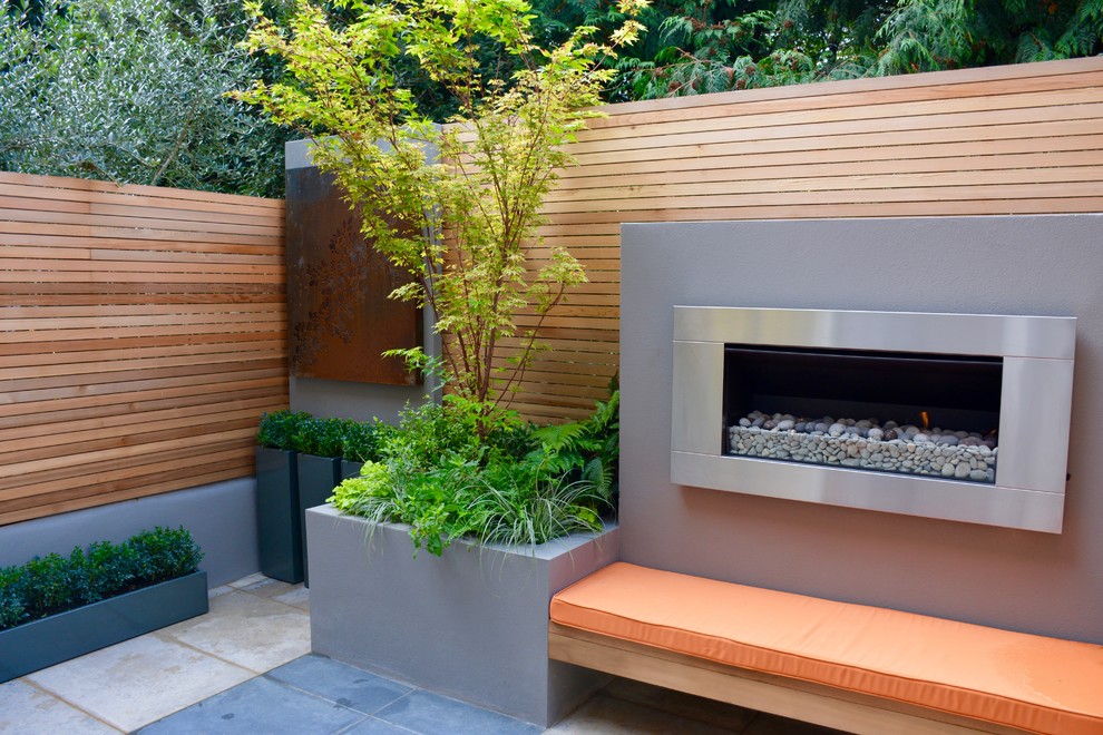 This is an example of a small contemporary back full sun garden in London.