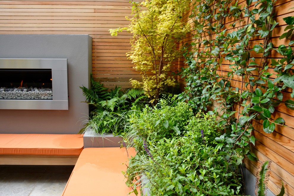 Photo of a small contemporary back full sun garden in London.