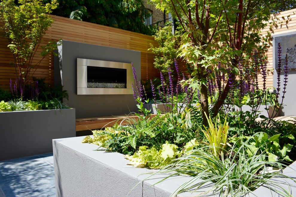 Design ideas for a small contemporary back full sun garden in London.