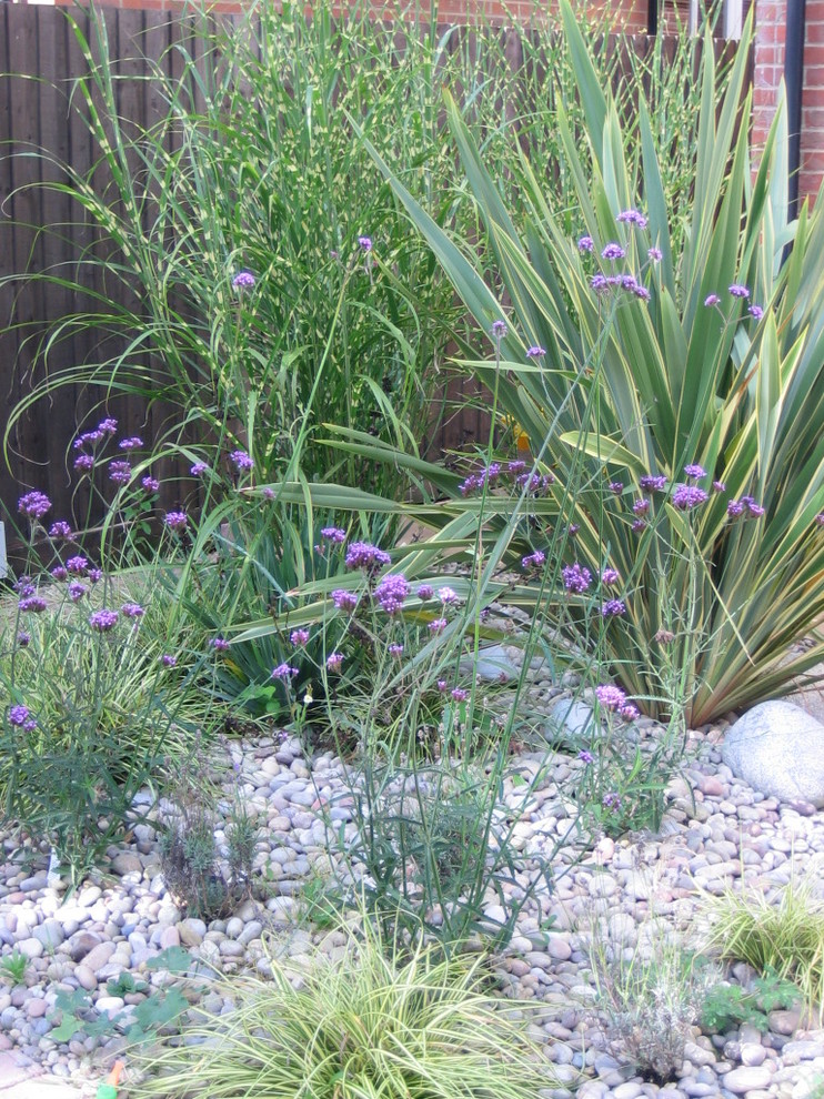 Стильный дизайн: маленький регулярный сад на заднем дворе в классическом стиле с растениями в контейнерах и покрытием из гравия для на участке и в саду - последний тренд