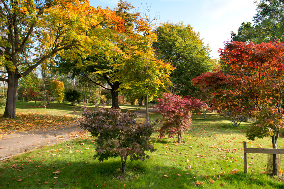 Immagine di un ampio vialetto d'ingresso country esposto a mezz'ombra dietro casa in autunno con un ingresso o sentiero