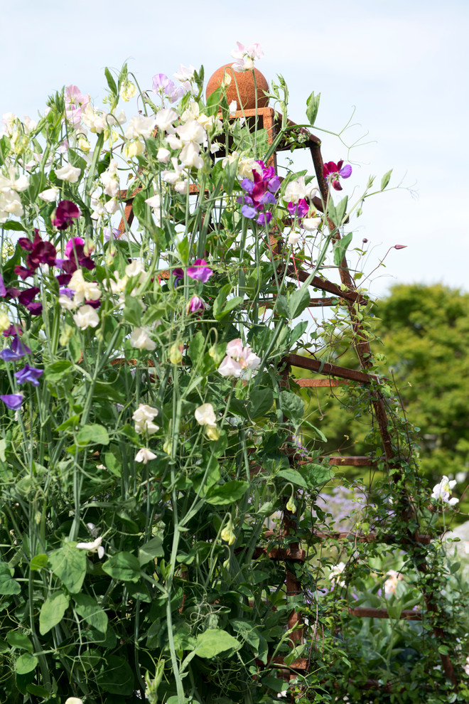 バークシャーにある巨大な、夏のカントリー風のおしゃれな庭 (日向、デッキ材舗装) の写真