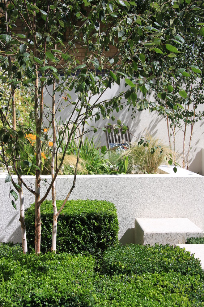 Cette image montre un jardin design.